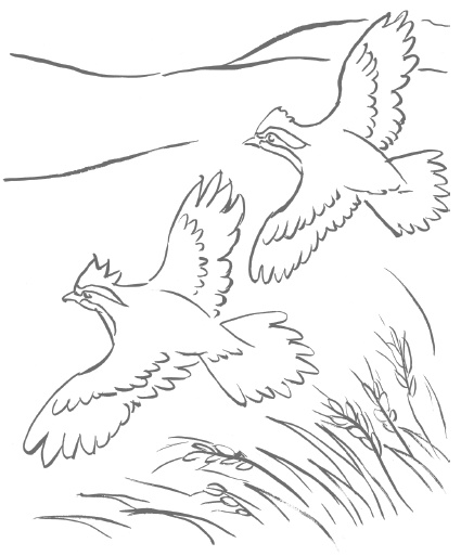 Иллюстрация к книге — Как любить осознанно [i_020.jpg]