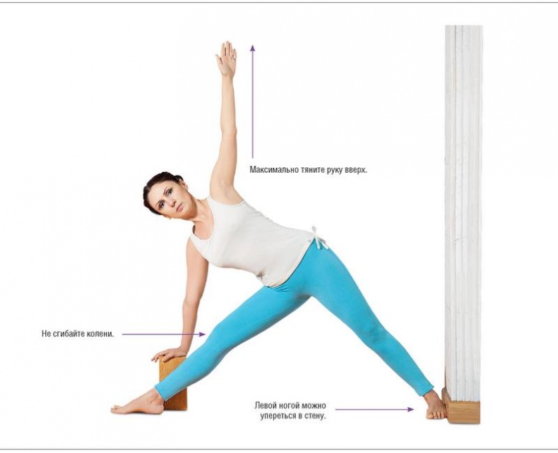 Иллюстрация к книге — Основы йоги. Все, что нужно для самостоятельных занятий [i_010.jpg]