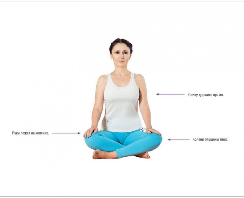 Иллюстрация к книге — Основы йоги. Все, что нужно для самостоятельных занятий [i_017.jpg]