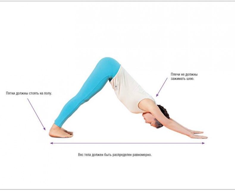 Иллюстрация к книге — Основы йоги. Все, что нужно для самостоятельных занятий [i_026.jpg]