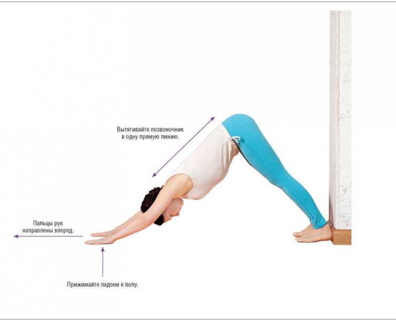 Иллюстрация к книге — Основы йоги. Все, что нужно для самостоятельных занятий [i_028.jpg]