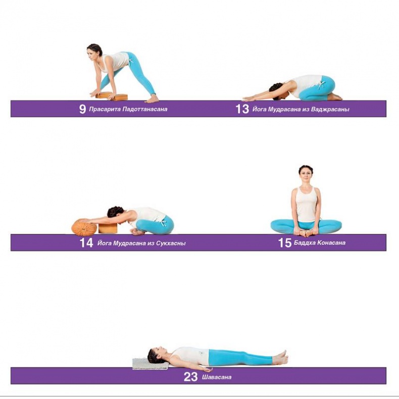 Иллюстрация к книге — Основы йоги. Все, что нужно для самостоятельных занятий [i_040.jpg]