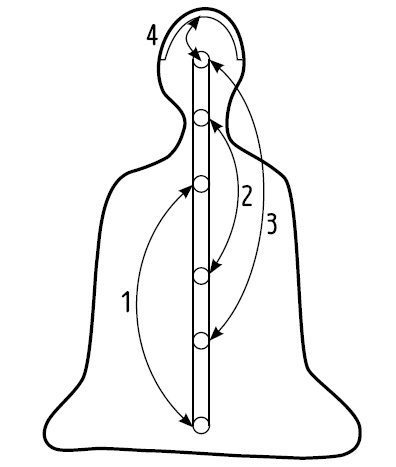 Иллюстрация к книге — Арийская медицина. Путь к бессмертию [i_008.jpg]