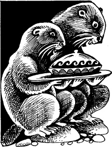 Иллюстрация к книге — Когда зацветет папоротник. Злая ведьма Варвара [_101.jpg]