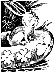 Иллюстрация к книге — Когда зацветет папоротник. Злая ведьма Варвара [_113.jpg]