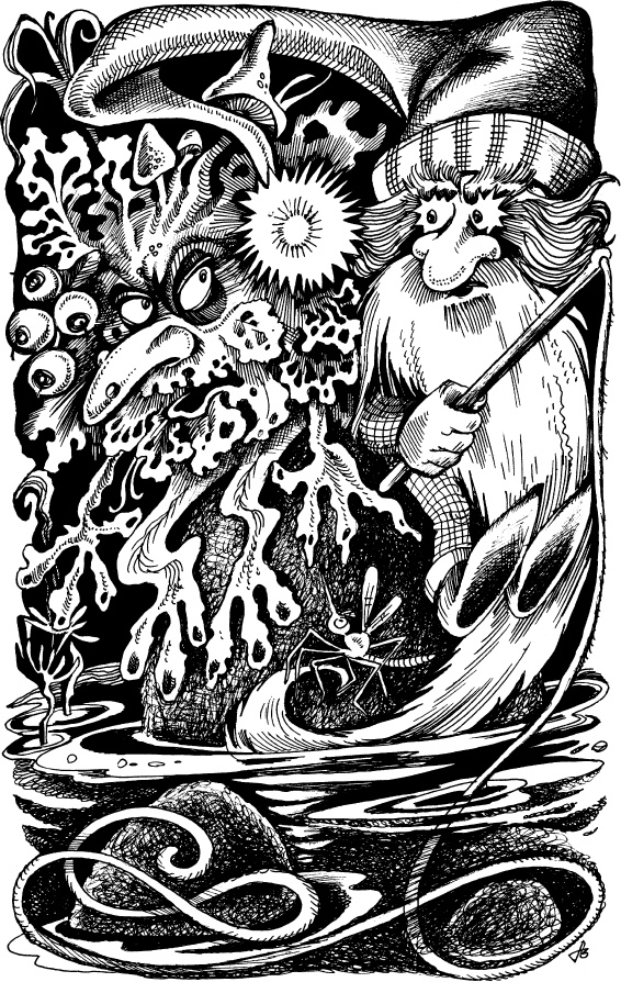 Иллюстрация к книге — Когда зацветет папоротник. Злая ведьма Варвара [_120.jpg]