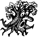 Иллюстрация к книге — Когда зацветет папоротник. Злая ведьма Варвара [_124.jpg]