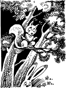 Иллюстрация к книге — Когда зацветет папоротник. Злая ведьма Варвара [_125.jpg]