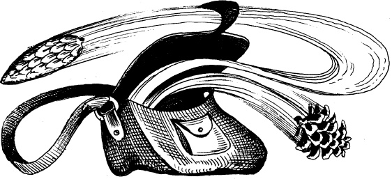 Иллюстрация к книге — Когда зацветет папоротник. Злая ведьма Варвара [_126.jpg]