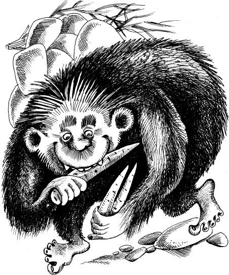 Иллюстрация к книге — Когда зацветет папоротник. Злая ведьма Варвара [_144.jpg]