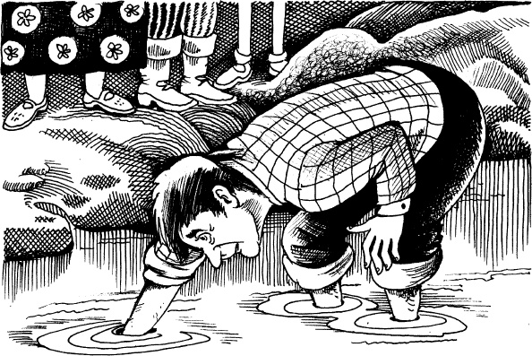 Иллюстрация к книге — Когда зацветет папоротник. Злая ведьма Варвара [_17.jpg]