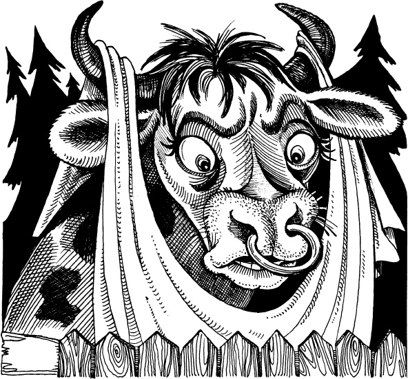 Иллюстрация к книге — Когда зацветет папоротник. Злая ведьма Варвара [_3.jpg]