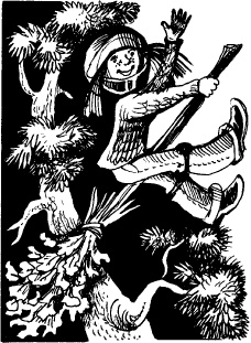 Иллюстрация к книге — Когда зацветет папоротник. Злая ведьма Варвара [_43.jpg]