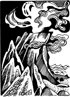 Иллюстрация к книге — Когда зацветет папоротник. Злая ведьма Варвара [_46.jpg]