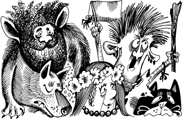 Иллюстрация к книге — Когда зацветет папоротник. Злая ведьма Варвара [_51.jpg]