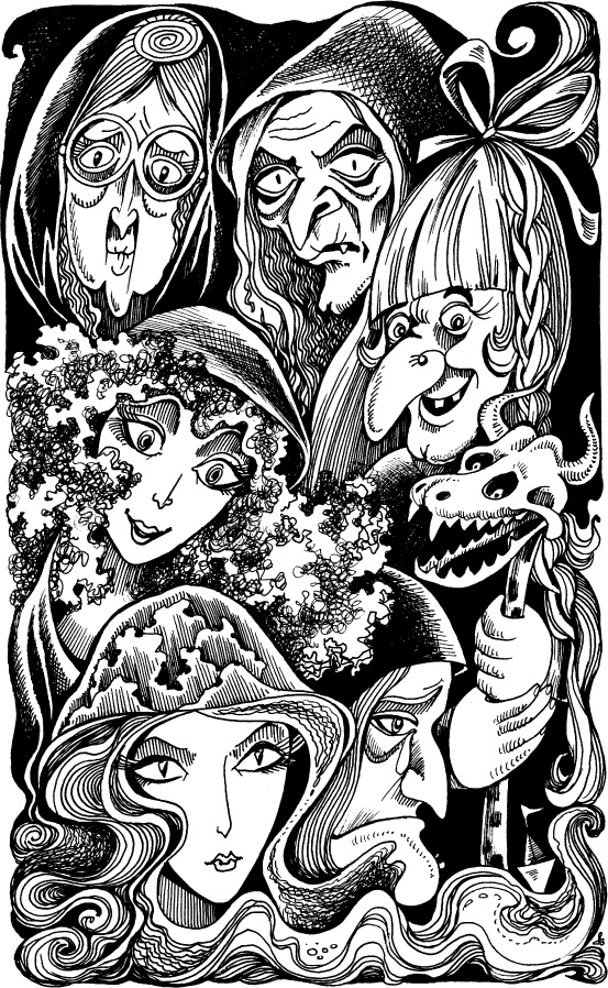 Иллюстрация к книге — Когда зацветет папоротник. Злая ведьма Варвара [_54.jpg]