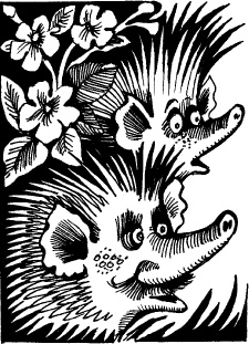 Иллюстрация к книге — Когда зацветет папоротник. Злая ведьма Варвара [_68.jpg]