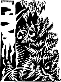 Иллюстрация к книге — Когда зацветет папоротник. Злая ведьма Варвара [_71.jpg]