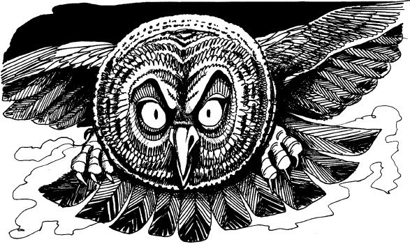 Иллюстрация к книге — Когда зацветет папоротник. Злая ведьма Варвара [_73.jpg]