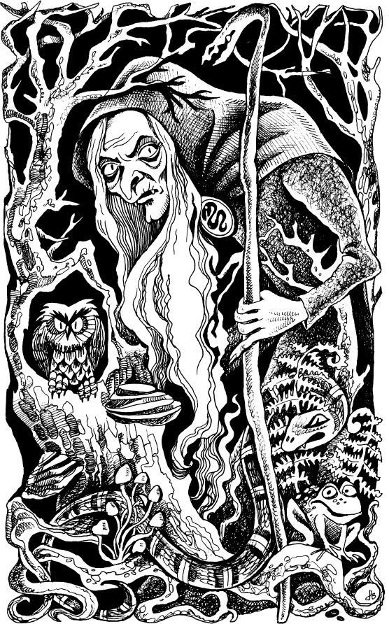 Иллюстрация к книге — Когда зацветет папоротник. Злая ведьма Варвара [_9.jpg]