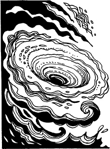 Иллюстрация к книге — Когда зацветет папоротник. Злая ведьма Варвара [_97.jpg]