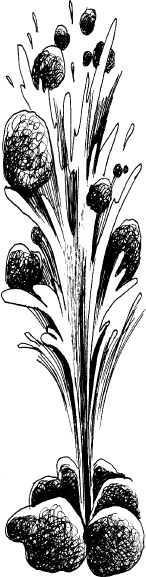 Иллюстрация к книге — Волшебная мельница. Злая ведьма Варвара [_163.jpg]