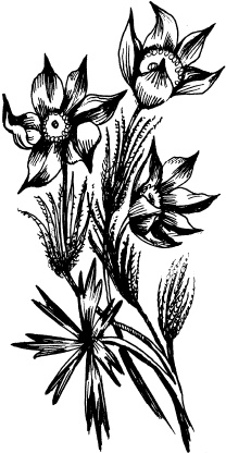 Иллюстрация к книге — Волшебная мельница. Злая ведьма Варвара [_182.jpg]