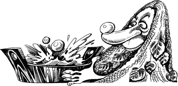 Иллюстрация к книге — Волшебная мельница. Злая ведьма Варвара [_41.jpg]