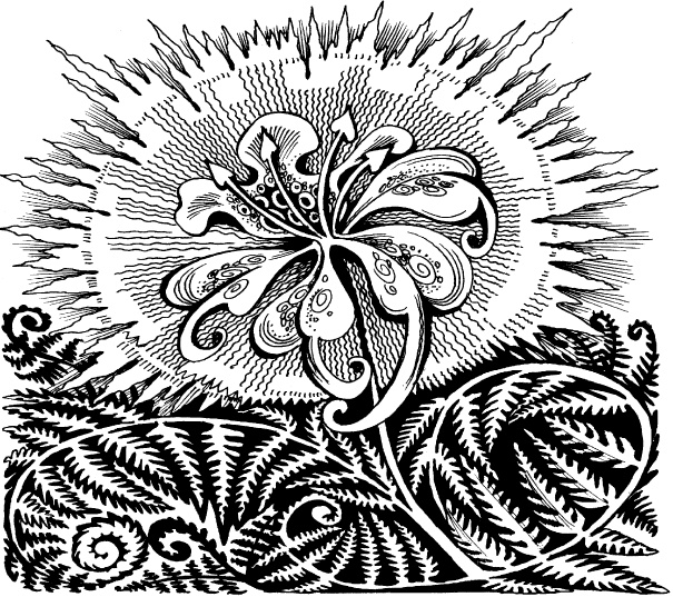 Иллюстрация к книге — Волшебная мельница. Злая ведьма Варвара [_81.jpg]