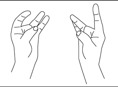 Иллюстрация к книге — Исцеляющая сила мудр. Здоровье на кончиках пальцев [i_004.jpg]