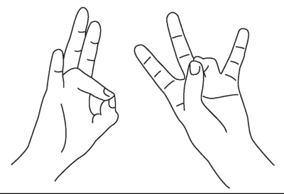 Иллюстрация к книге — Исцеляющая сила мудр. Здоровье на кончиках пальцев [i_009.jpg]