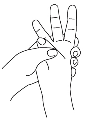 Иллюстрация к книге — Исцеляющая сила мудр. Здоровье на кончиках пальцев [i_010.jpg]