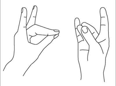 Иллюстрация к книге — Исцеляющая сила мудр. Здоровье на кончиках пальцев [i_011.jpg]