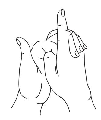 Иллюстрация к книге — Исцеляющая сила мудр. Здоровье на кончиках пальцев [i_027.jpg]