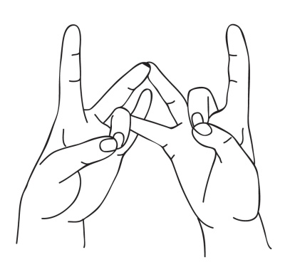 Иллюстрация к книге — Исцеляющая сила мудр. Здоровье на кончиках пальцев [i_033.jpg]