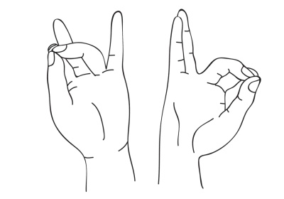 Иллюстрация к книге — Исцеляющая сила мудр. Здоровье на кончиках пальцев [i_035.jpg]