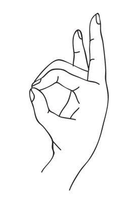 Иллюстрация к книге — Исцеляющая сила мудр. Здоровье на кончиках пальцев [i_051.jpg]