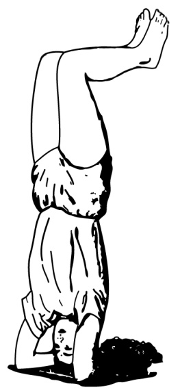 Иллюстрация к книге — 5 минут йоги не вставая с кровати. Для каждой женщины в любом возрасте [i_026.jpg]