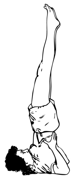 Иллюстрация к книге — 5 минут йоги не вставая с кровати. Для каждой женщины в любом возрасте [i_030.jpg]