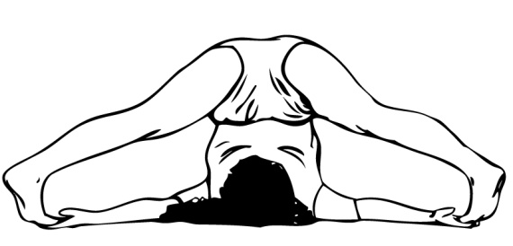 Иллюстрация к книге — 5 минут йоги не вставая с кровати. Для каждой женщины в любом возрасте [i_033.jpg]