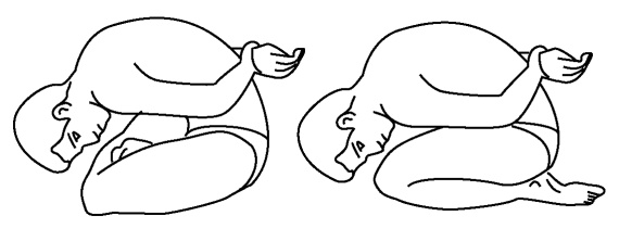 Иллюстрация к книге — 5 минут йоги не вставая с кровати. Для каждой женщины в любом возрасте [i_043.jpg]