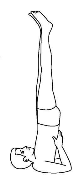 Иллюстрация к книге — 5 минут йоги не вставая с кровати. Для каждой женщины в любом возрасте [i_052.jpg]