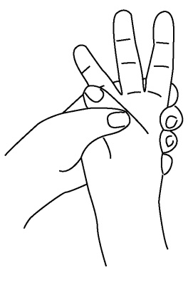 Иллюстрация к книге — 5 минут йоги не вставая с кровати. Для каждой женщины в любом возрасте [i_064.jpg]