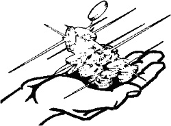 Иллюстрация к книге — 30 шагов к богатству [i_002.jpg]