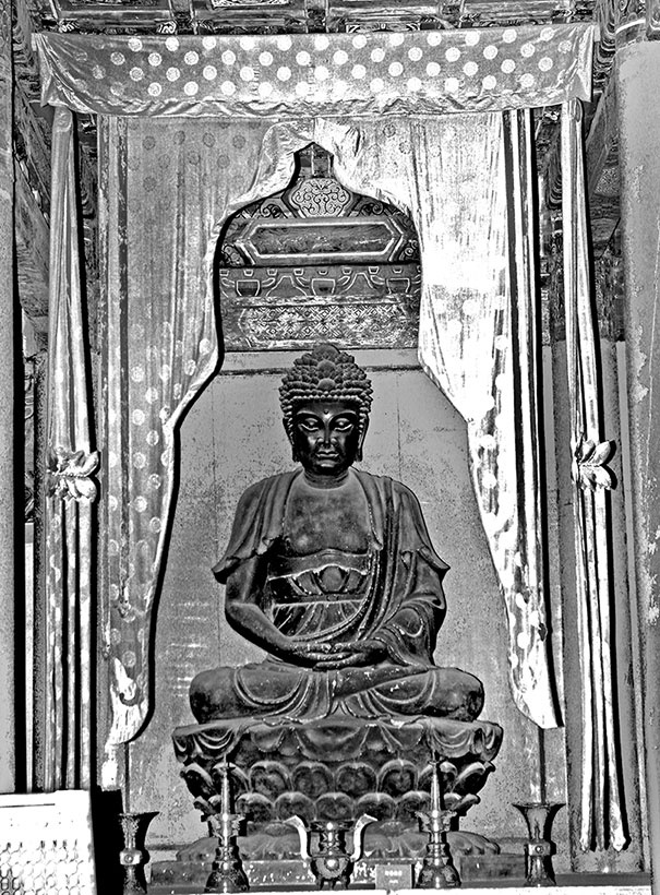 Иллюстрация к книге — Как было на самом деле. Последний путь святого семейства [i_017.jpg]