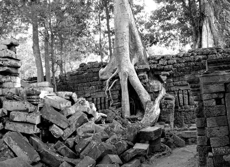 Иллюстрация к книге — Как было на самом деле. Последний путь святого семейства [i_159.jpg]