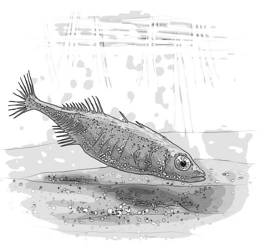 Иллюстрация к книге — Я больше не курю! [i_010.jpg]