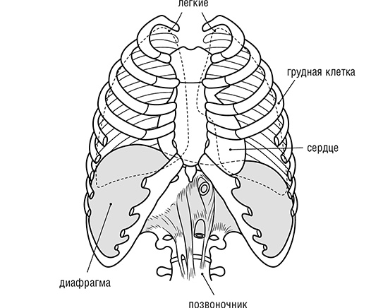 Иллюстрация к книге — Авторитет. Как стать уверенным, весомым и влиятельным [i_006.jpg]