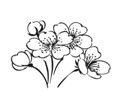 Иллюстрация к книге — Исцели свое сердце! [i_036.jpg]