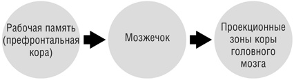 Иллюстрация к книге — Включите свою рабочую память на полную мощь [i_028.jpg]